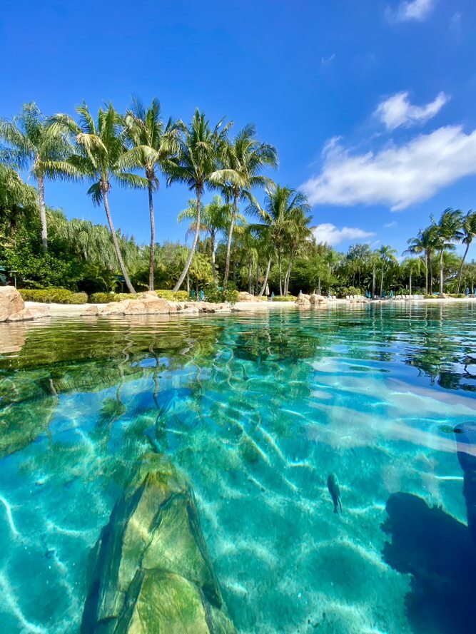 Discovery Cove Orlando