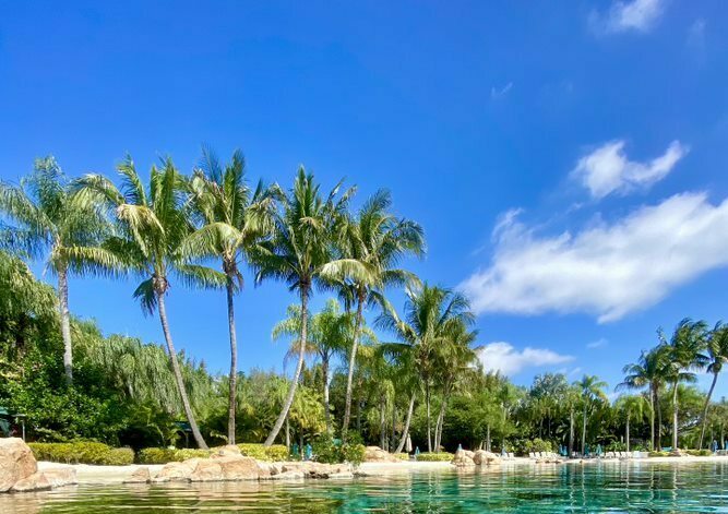 Discovery Cove Orlando