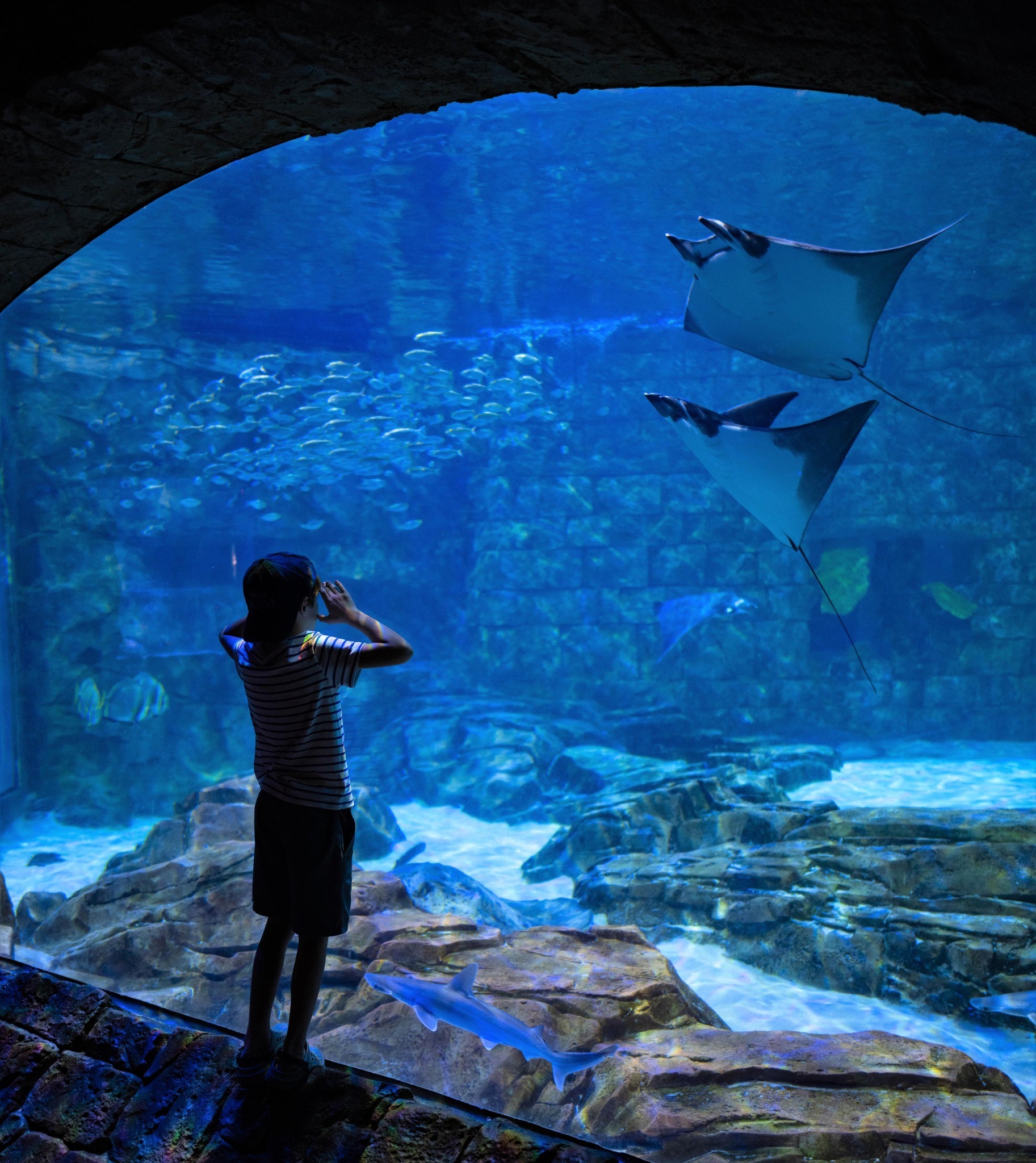 Sea World