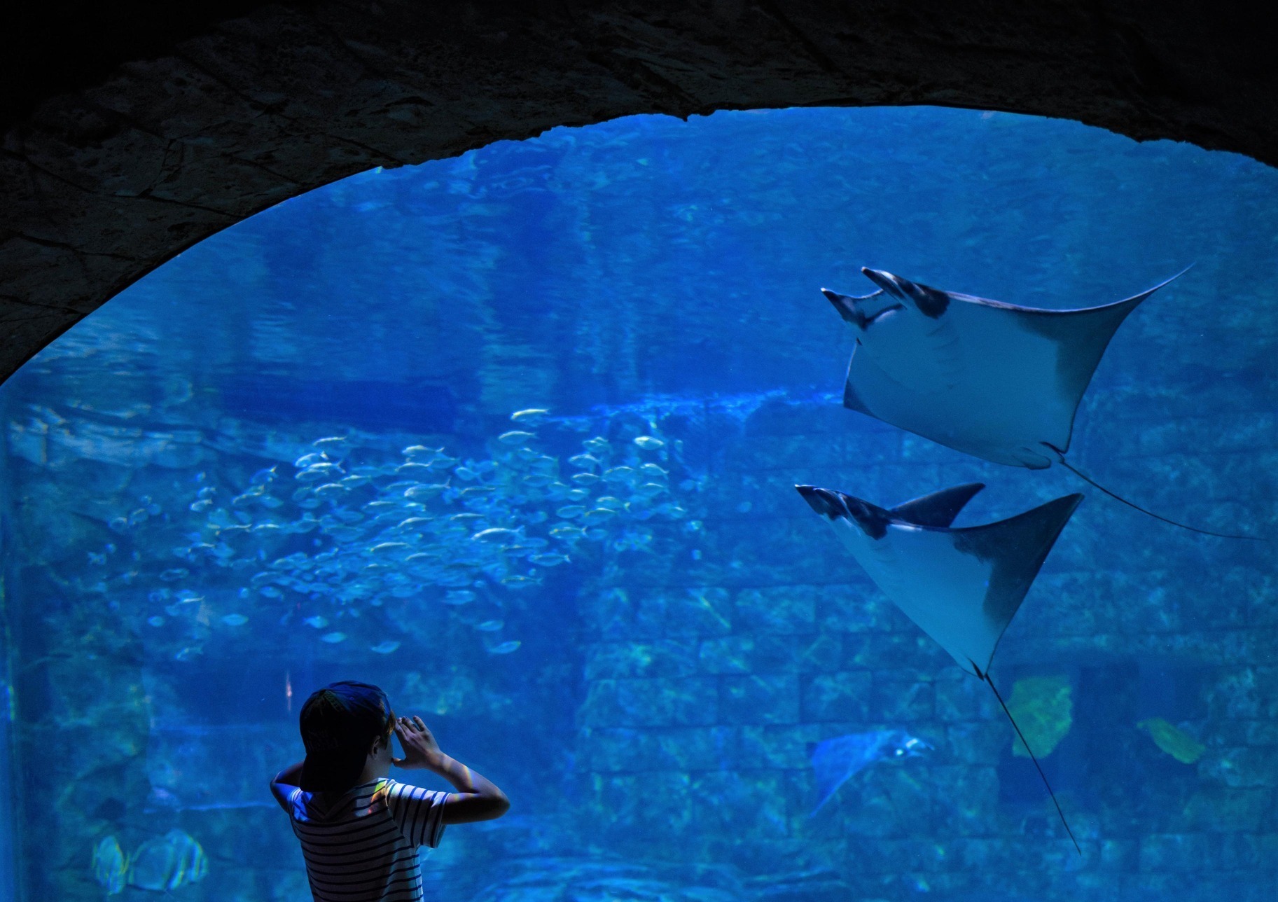 Sea World