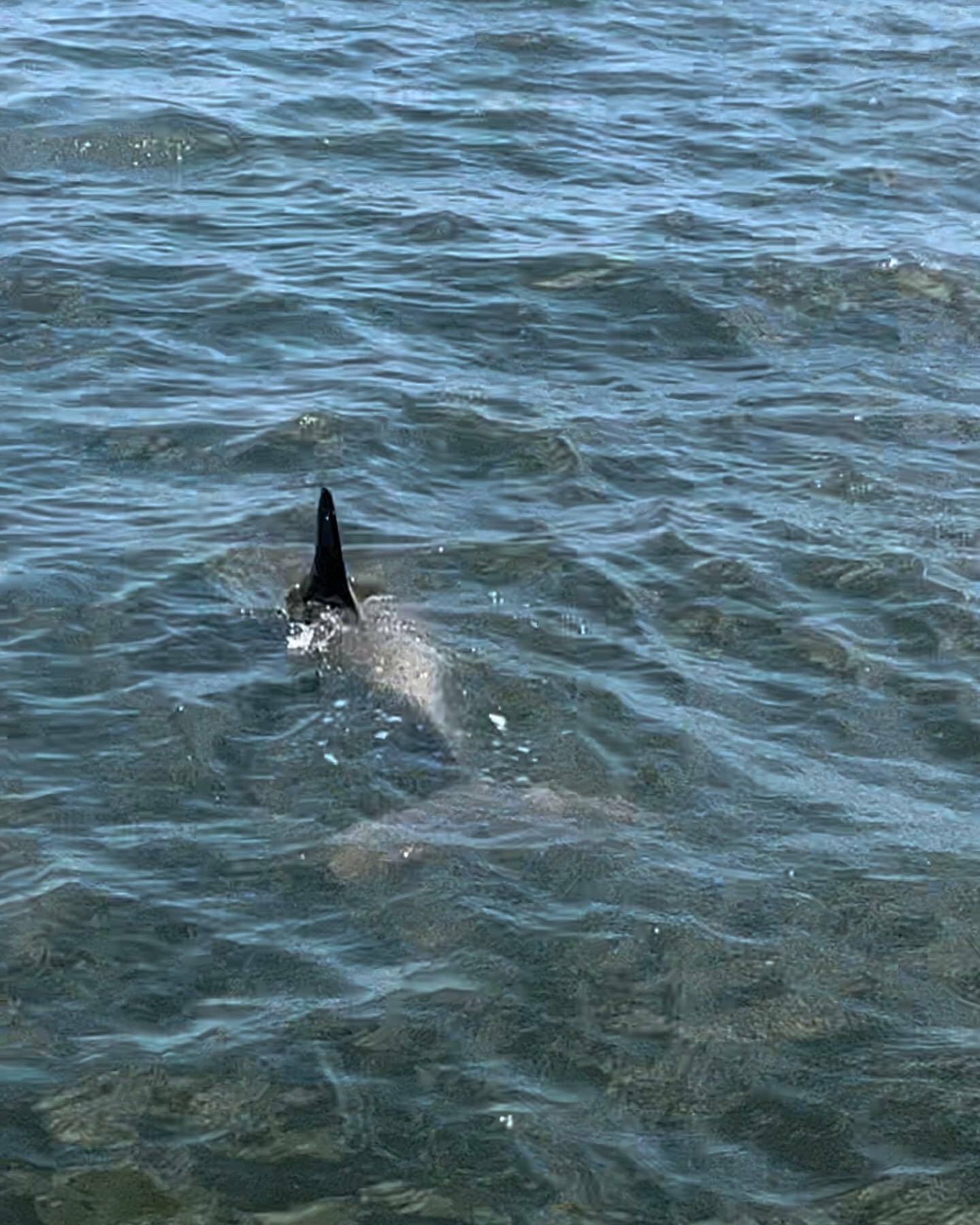 Banana River Boat Tours