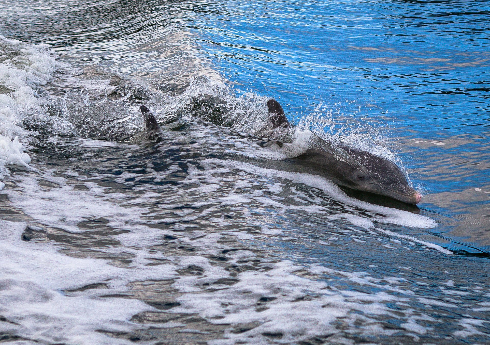 Good Natured River Tours
