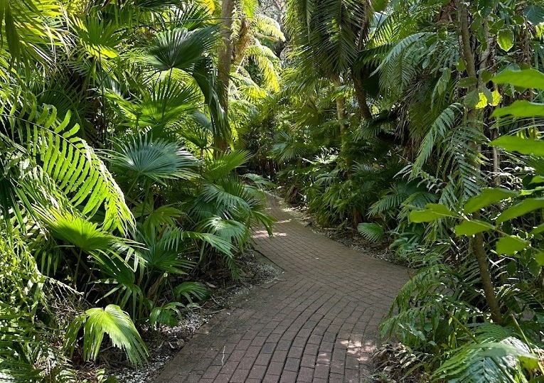 Sarasota Jungle Gardens
