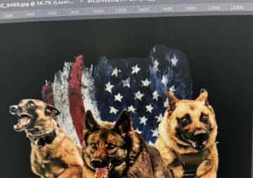 Space Coast Police K-9 Competition