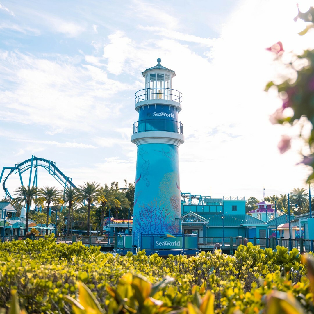 Sea World