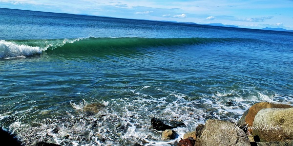 Photography by JoAnna Weeks