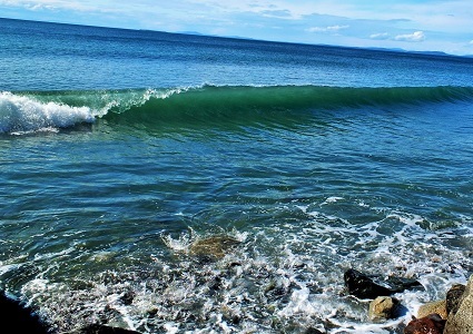 Photography by JoAnna Weeks