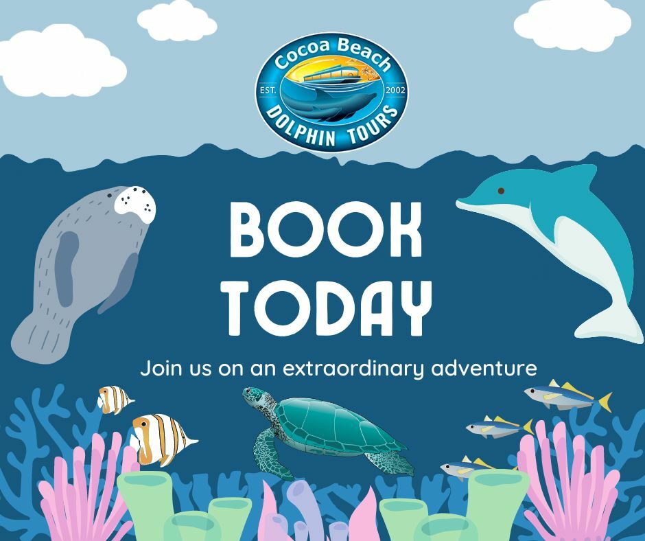 Cocoa Beach Dolphin Tours