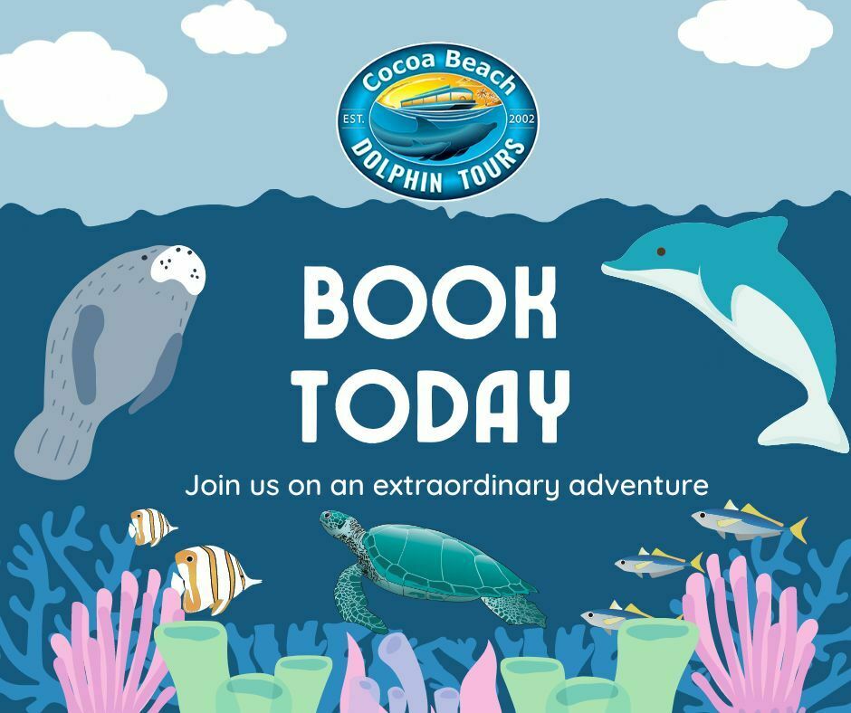 Cocoa Beach Dolphin Tours