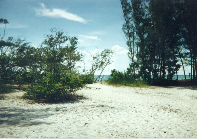 Naples Water Tours