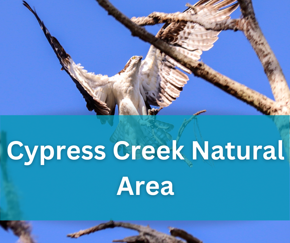 Great Florida Birding Trail