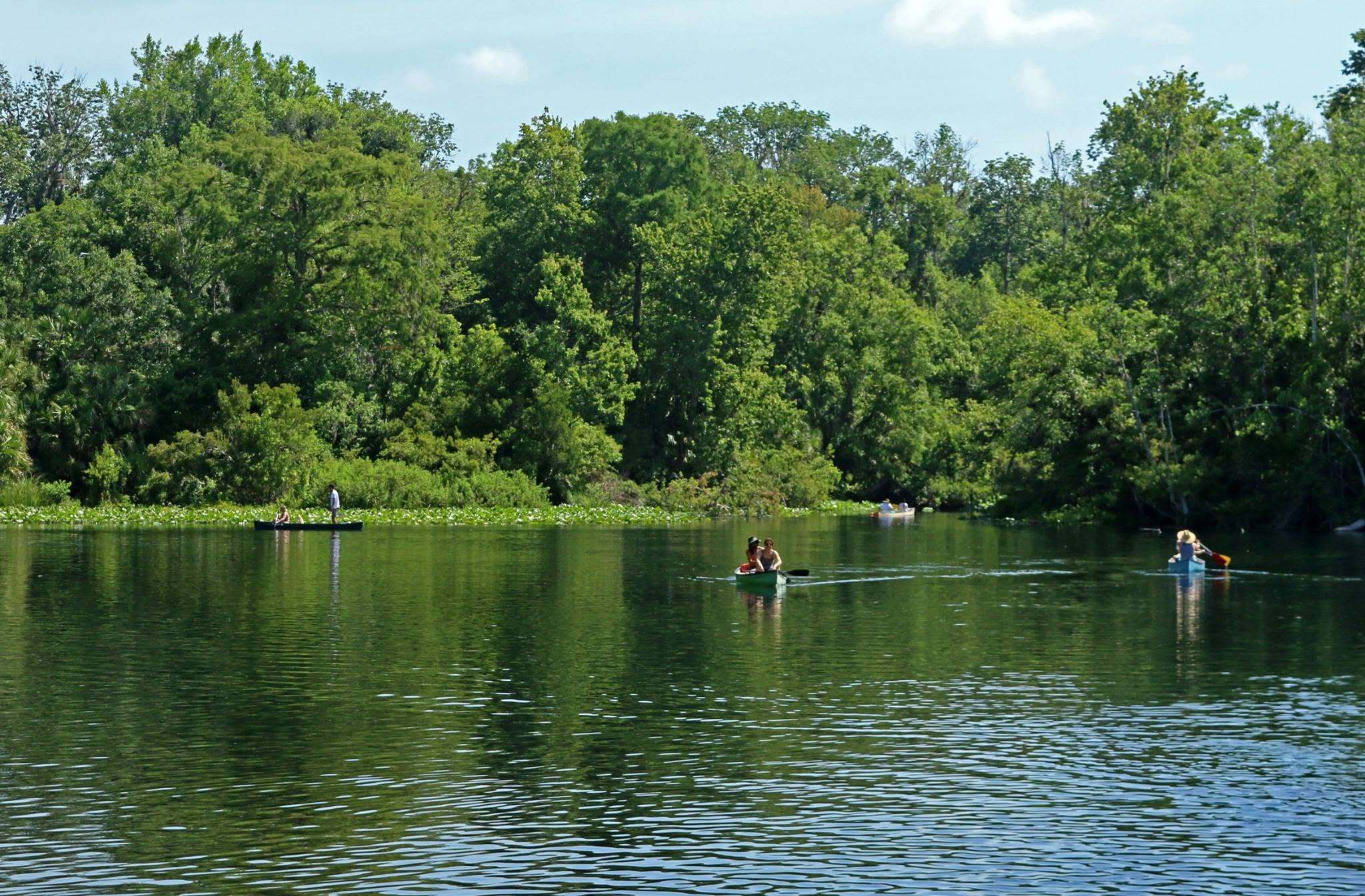 Wekiwa Springs State Park -Camping and State Park in Apopka, FL