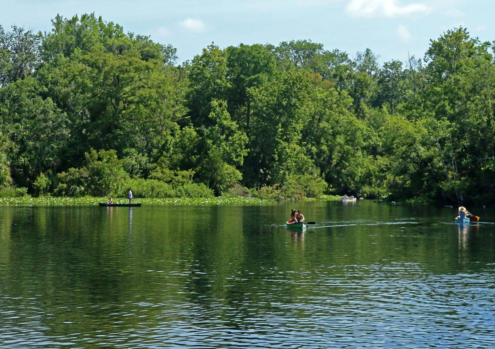 Wekiwa Springs State Park -Camping and State Park in Apopka, FL
