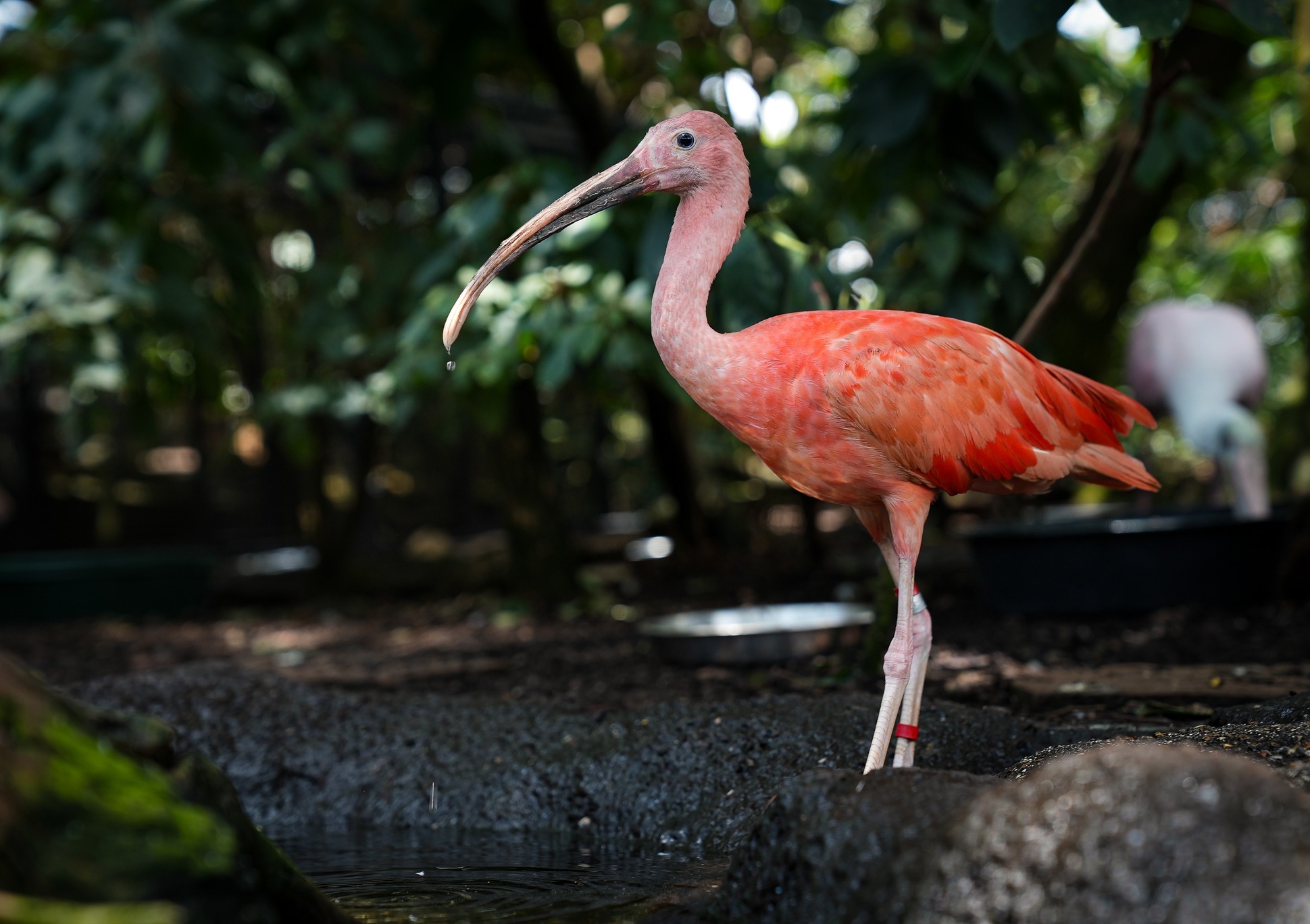 The Florida Aquarium