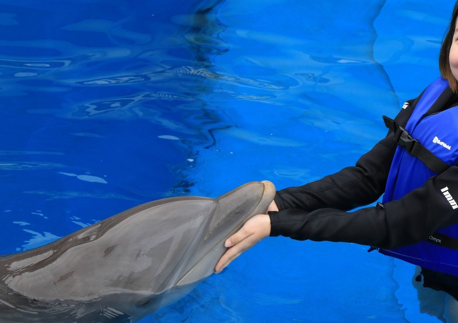 Gulf World Marine Park