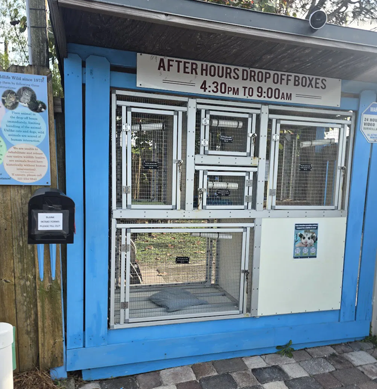 Florida Wildlife Hospital