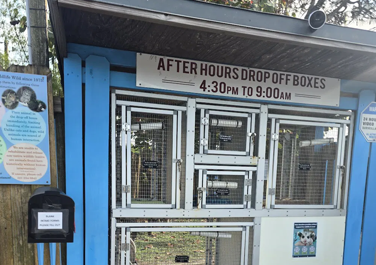 Florida Wildlife Hospital