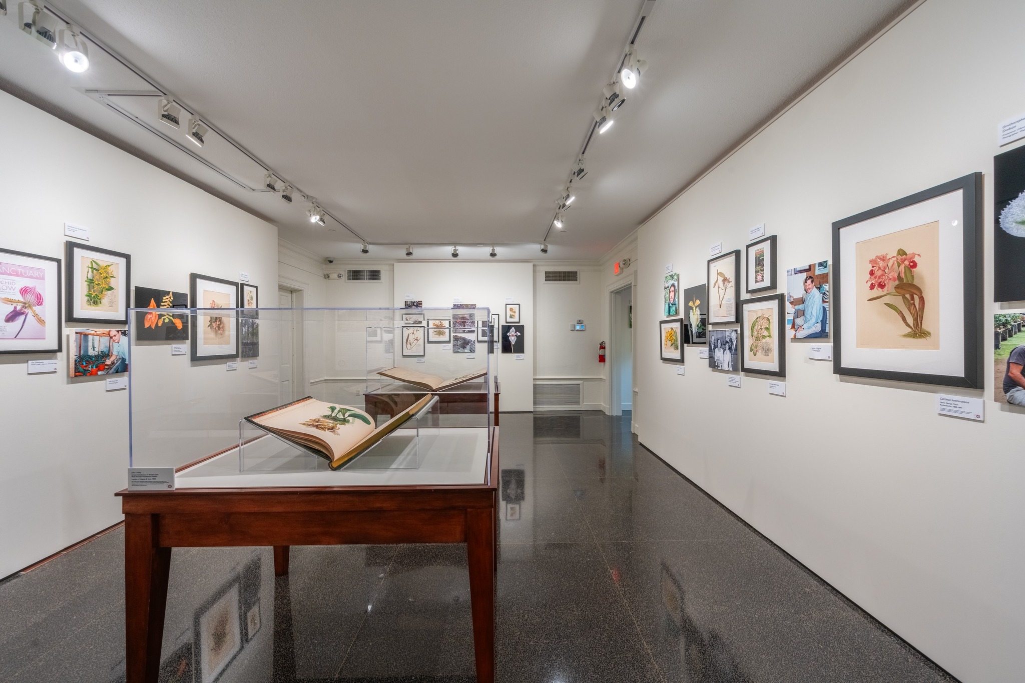 Marie Selby Botanical Gardens