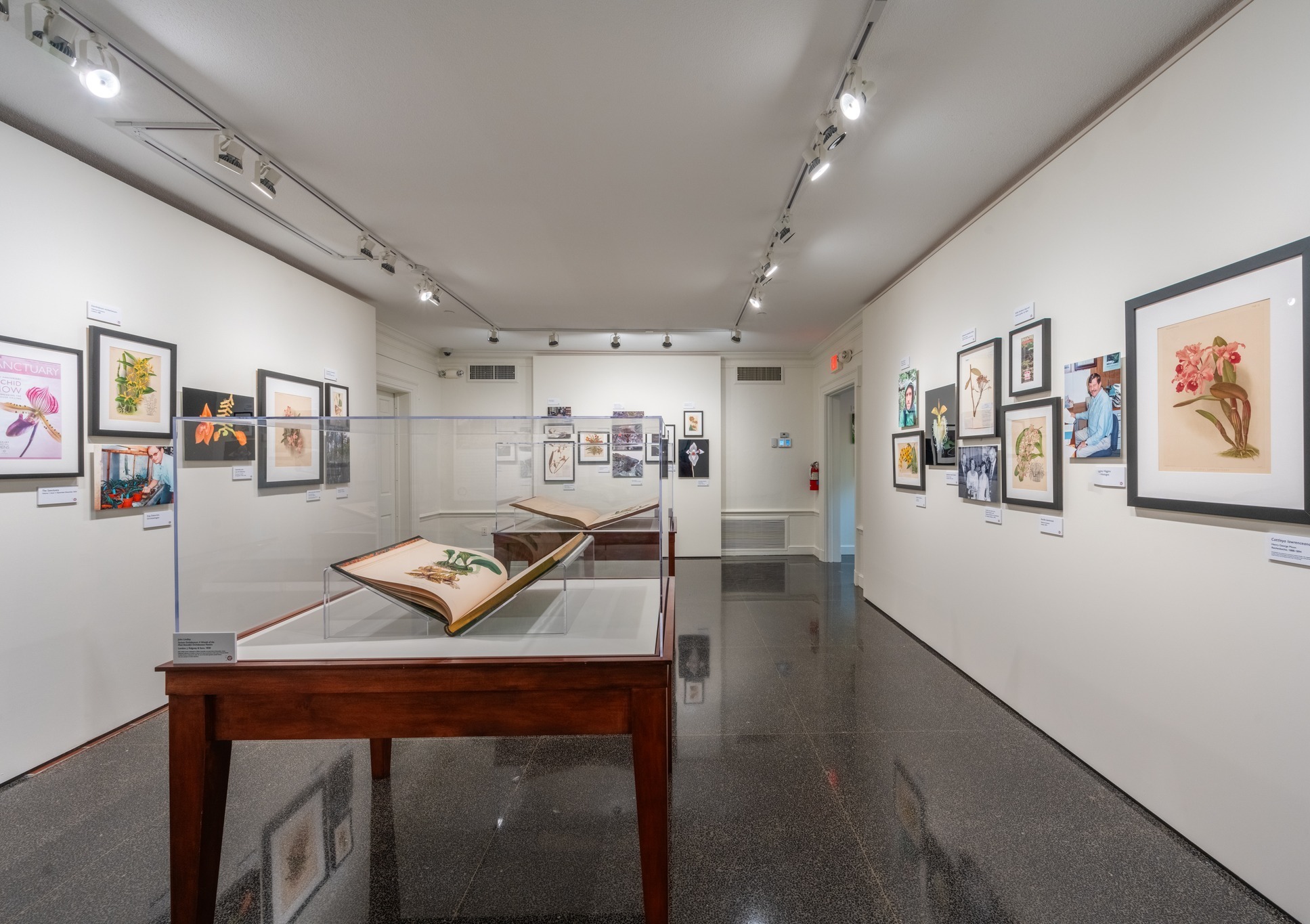 Marie Selby Botanical Gardens