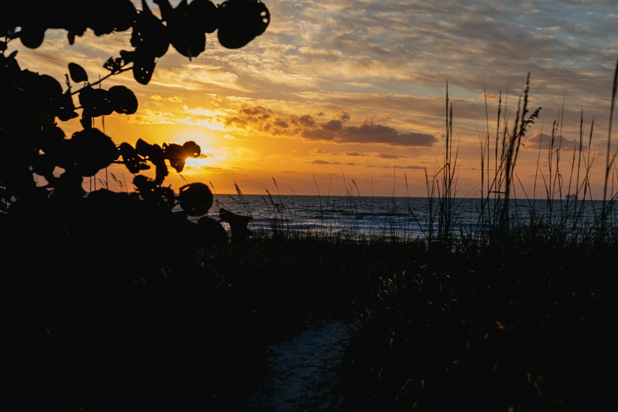 Beachside Hotel & Suites