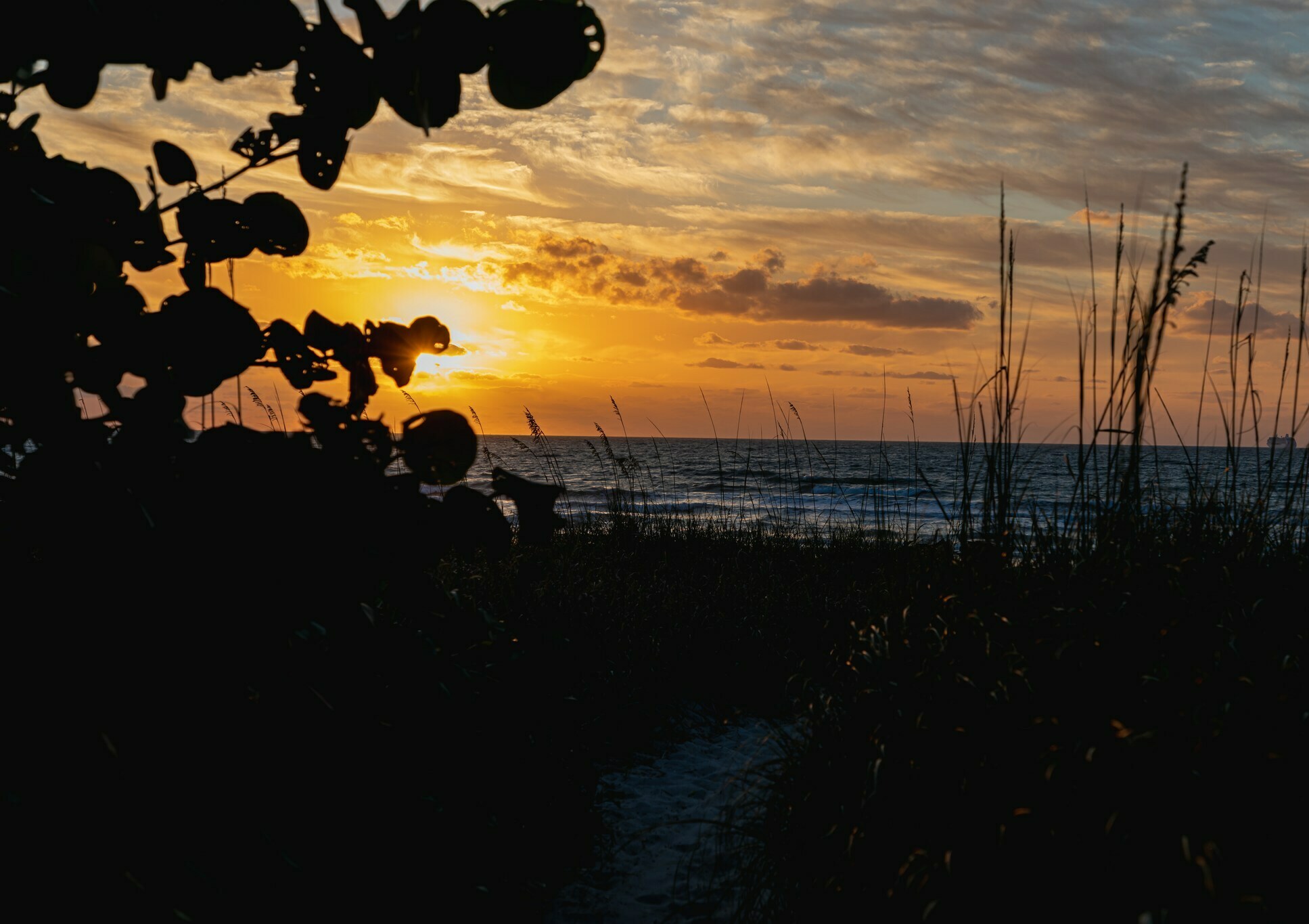 Beachside Hotel & Suites