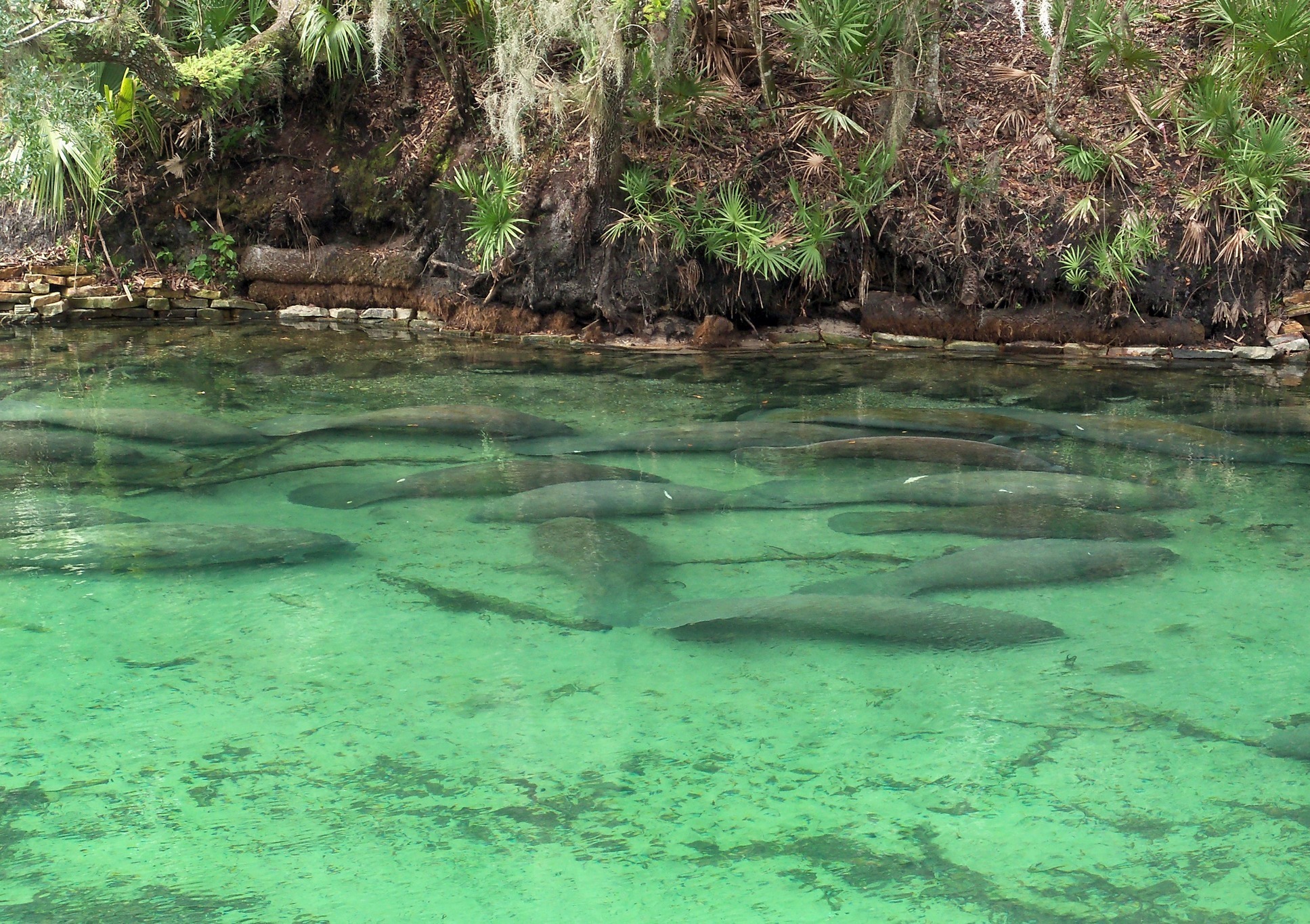 Blue Spring State Park