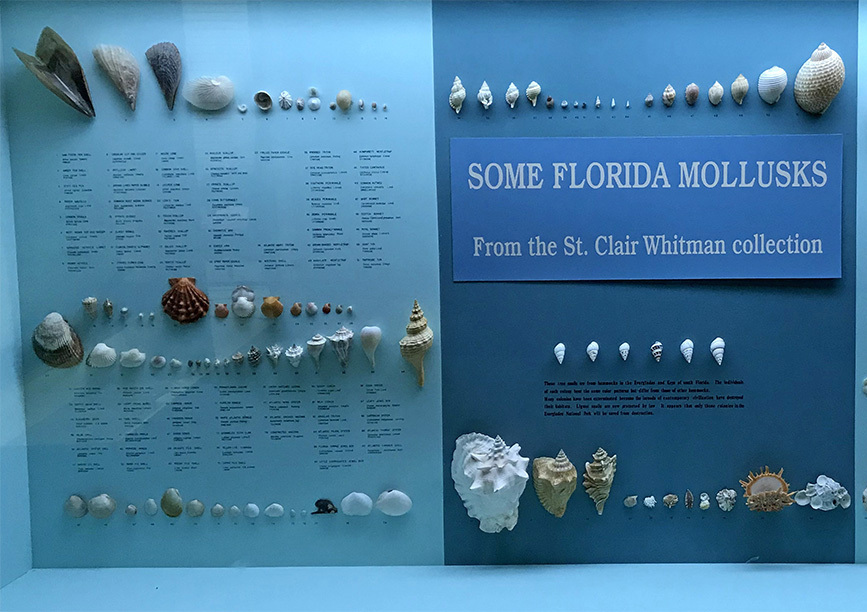 Cedar Key Museum State Park