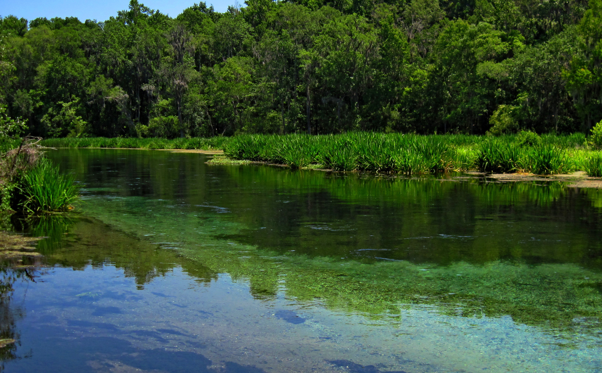 Ichetucknee Springs State Park