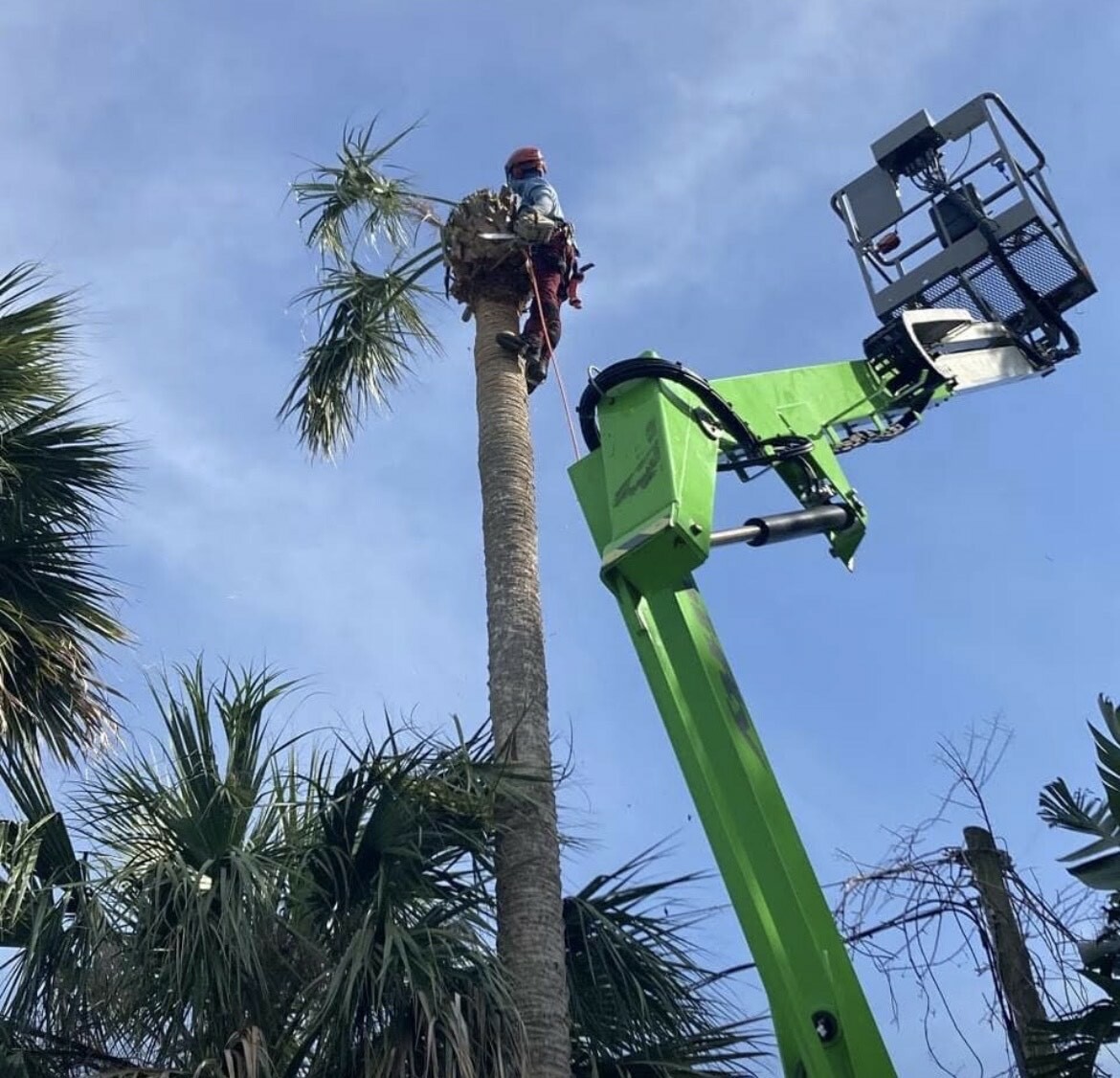 Dan's Tree Service