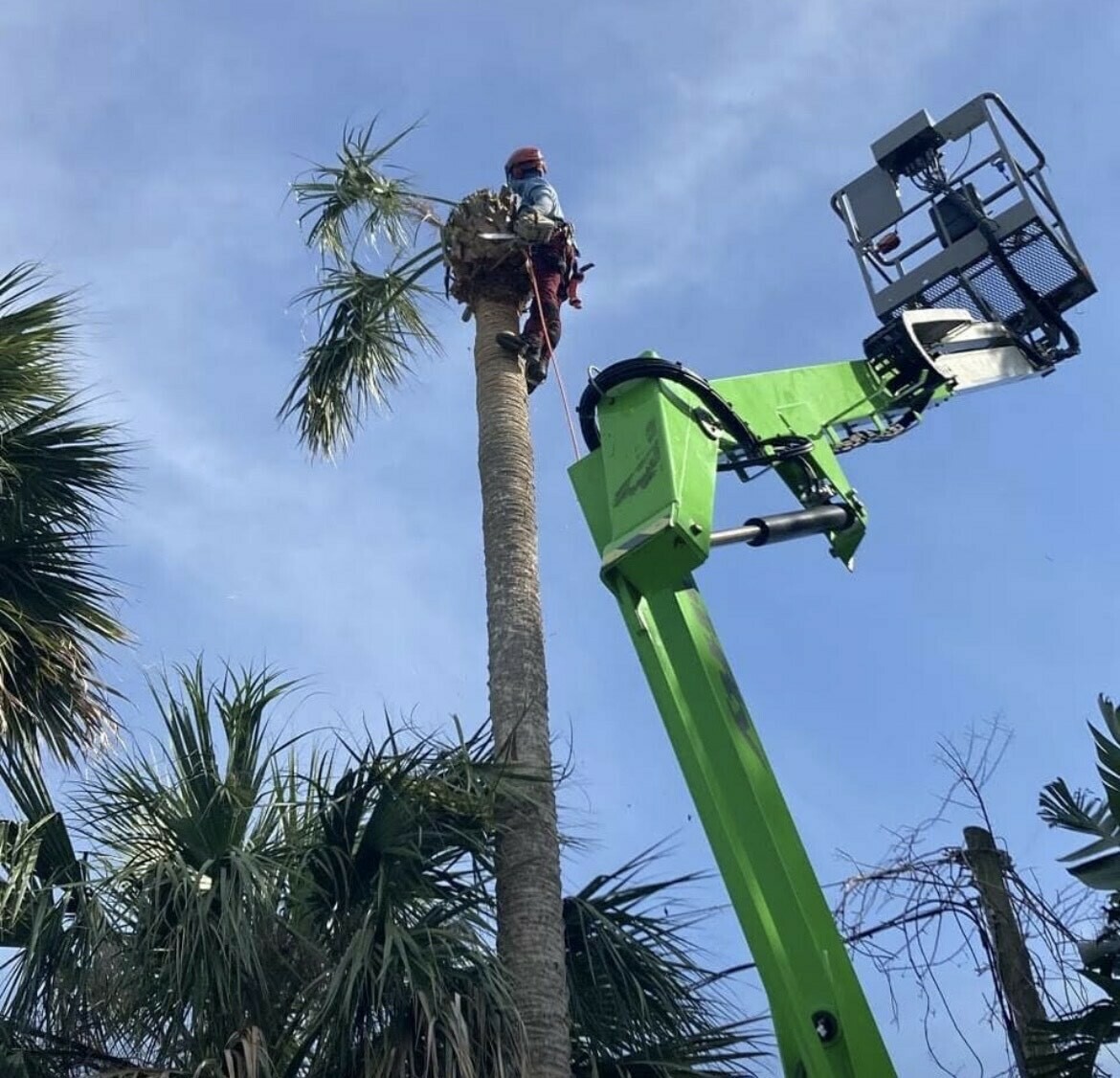 Dan's Tree Service