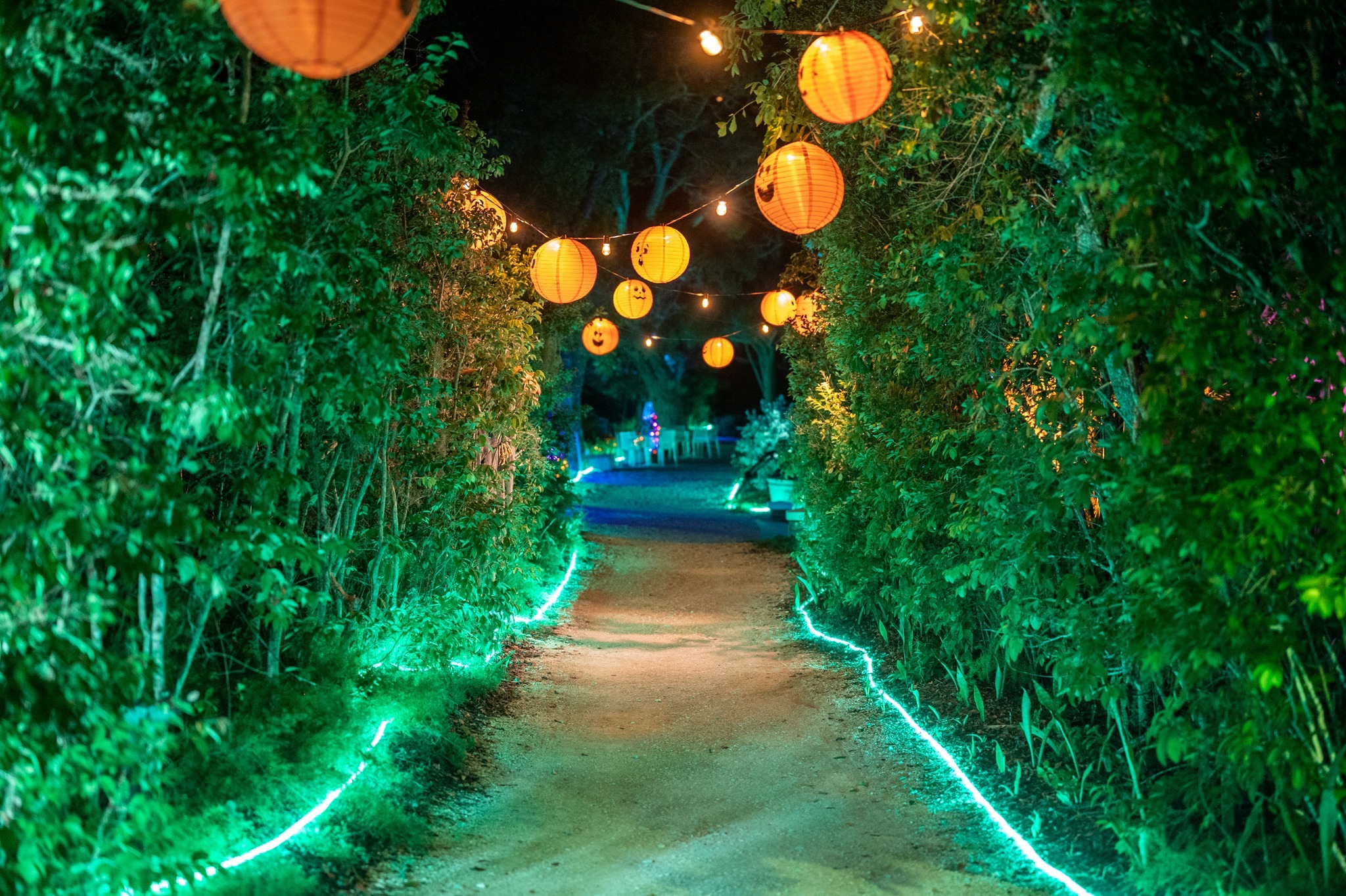 Marie Selby Botanical Gardens