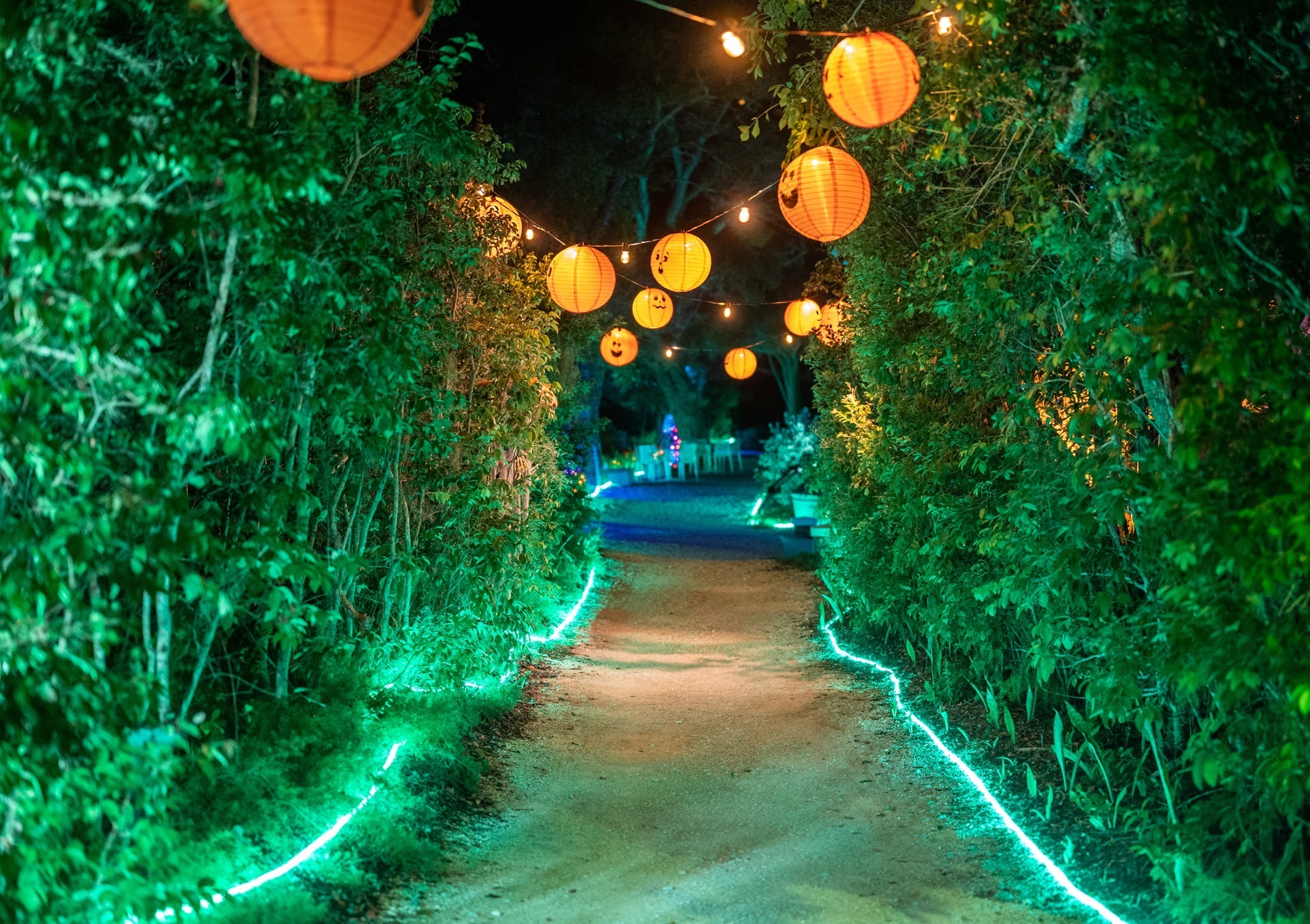 Marie Selby Botanical Gardens