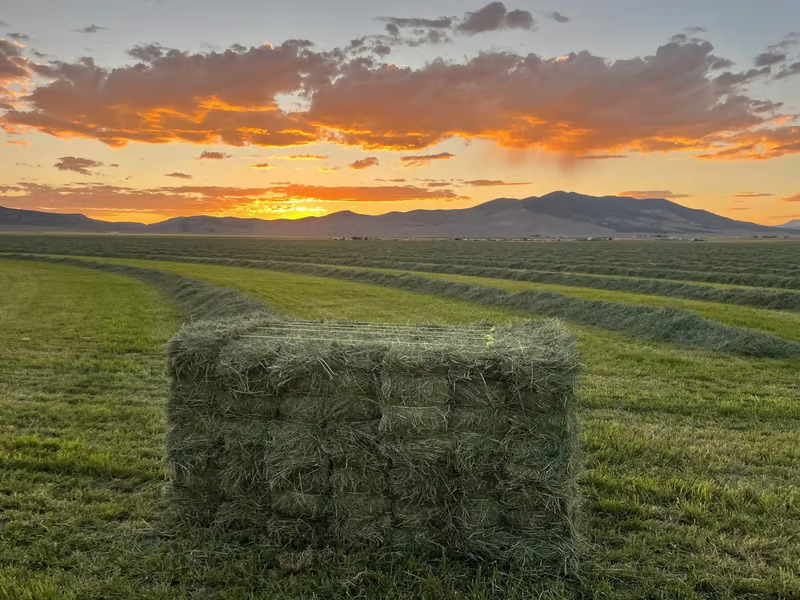 Farmers Direct Hay and Feed LLC
