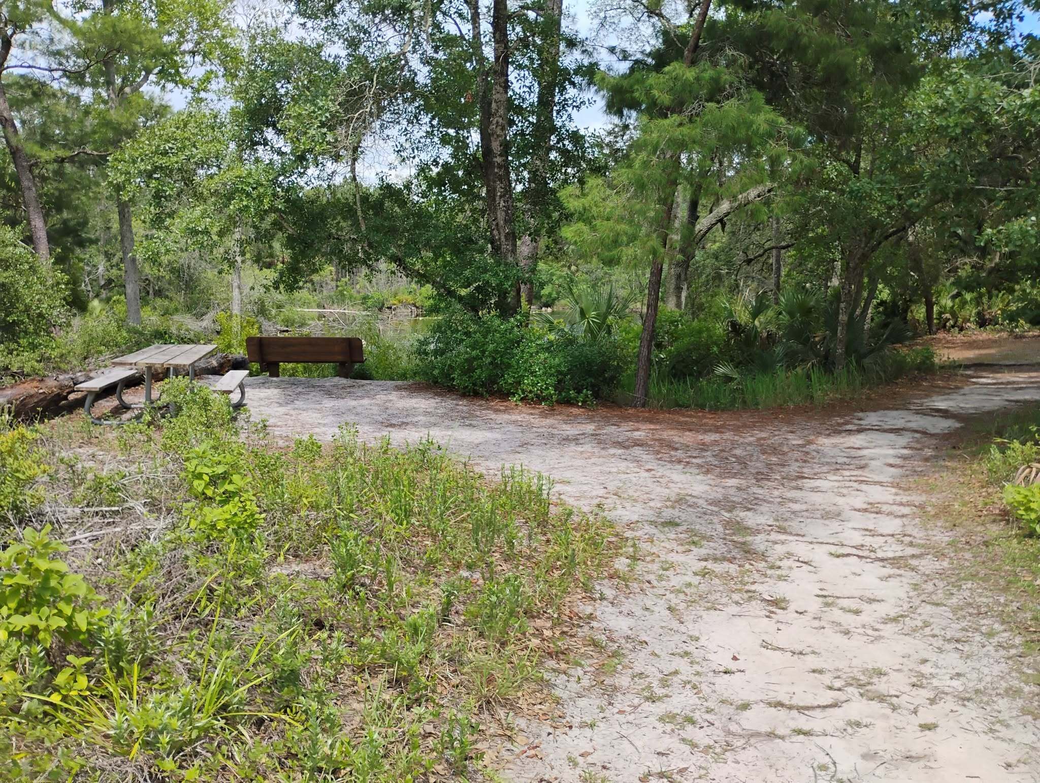 Wekiwa Springs State Park -Camping and State Park in Apopka, FL