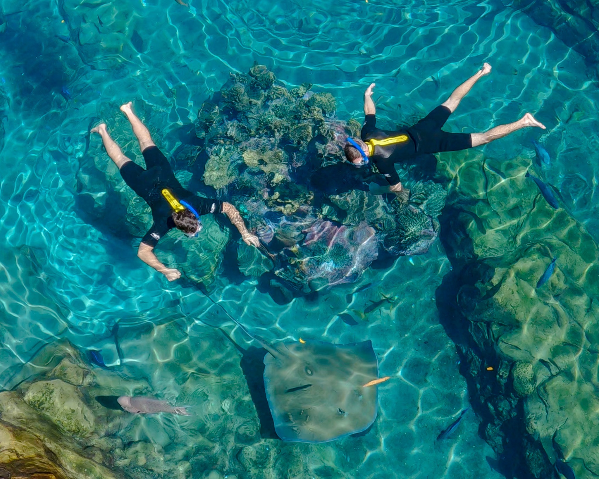 Discovery Cove Orlando