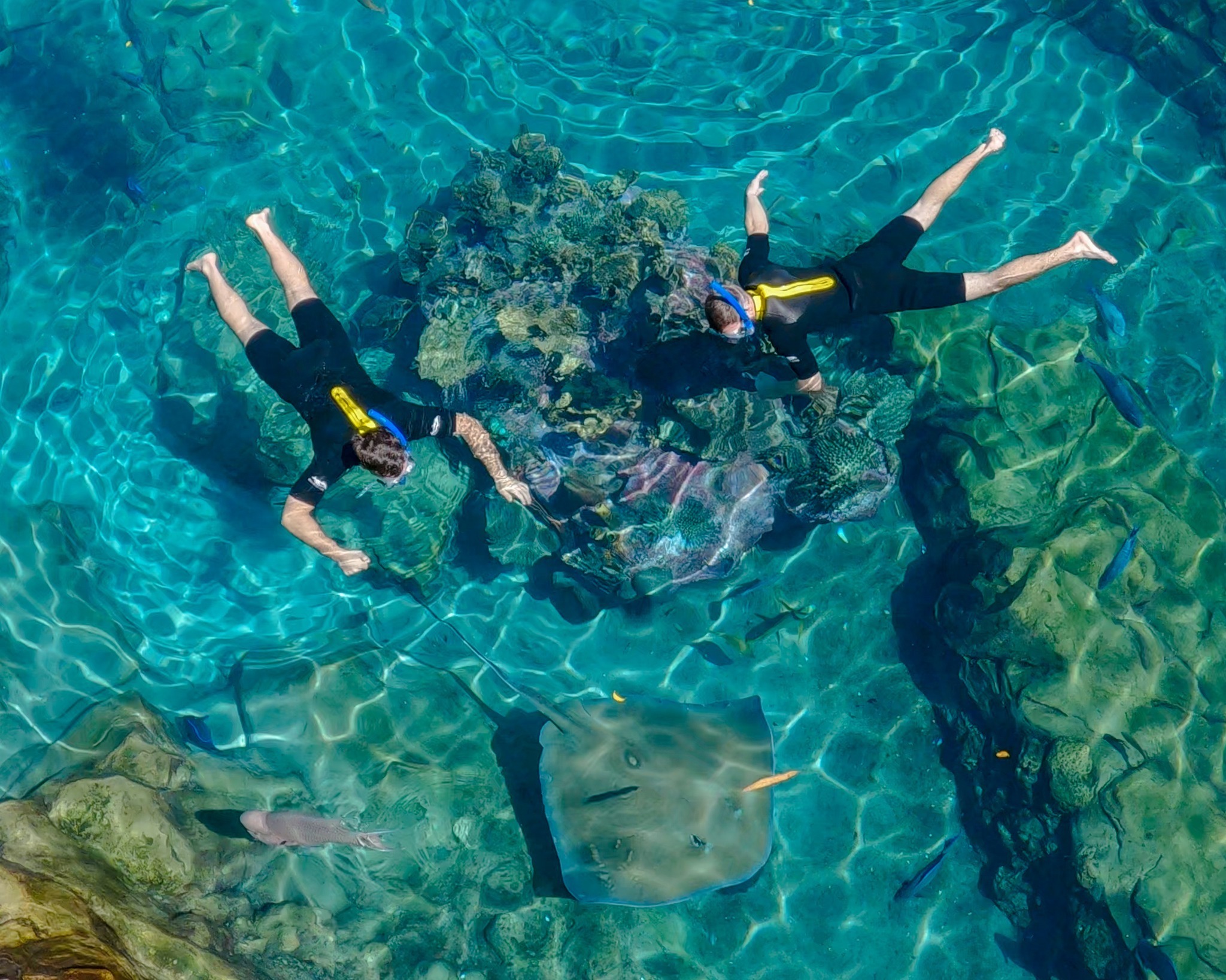 Discovery Cove Orlando