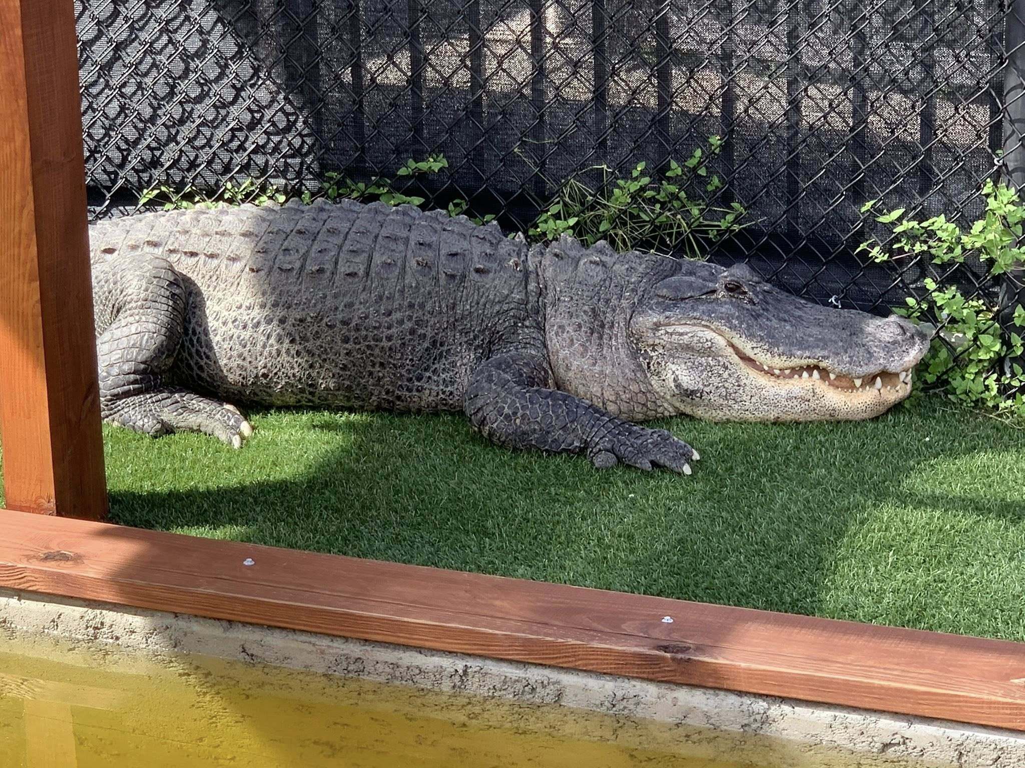 Everglades Holiday Park