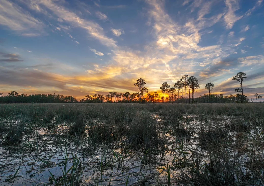 Big Cypress National Preserve