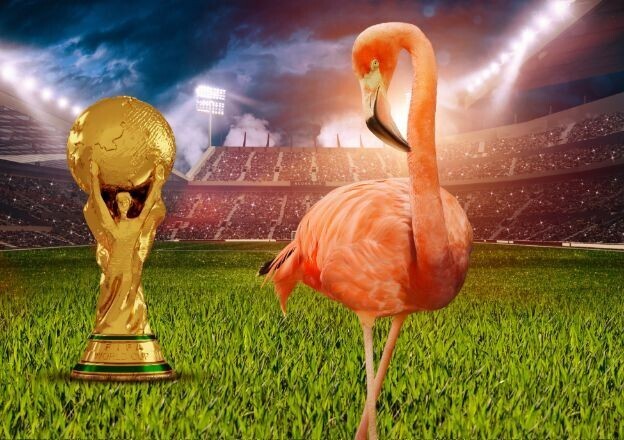 World Cup Fever at Zoo Miami Now - July 19, 2026  