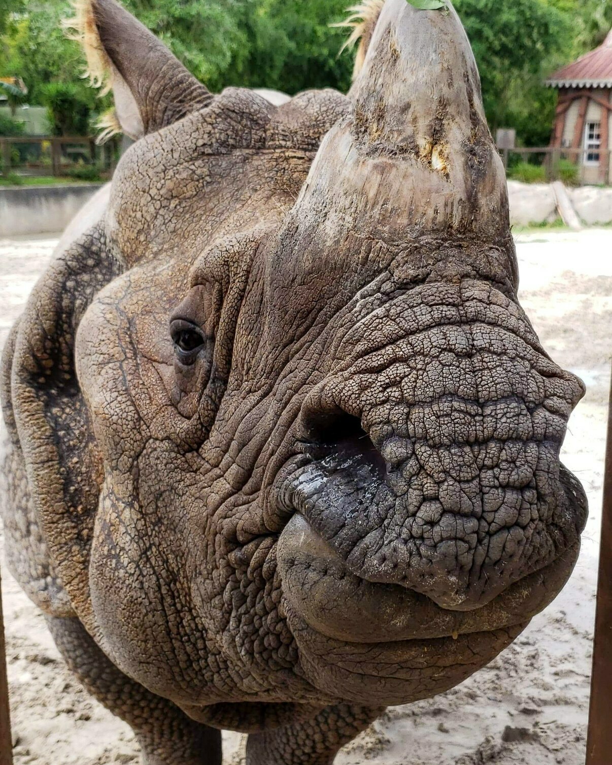 Central Florida Zoo & Botanical Gardens