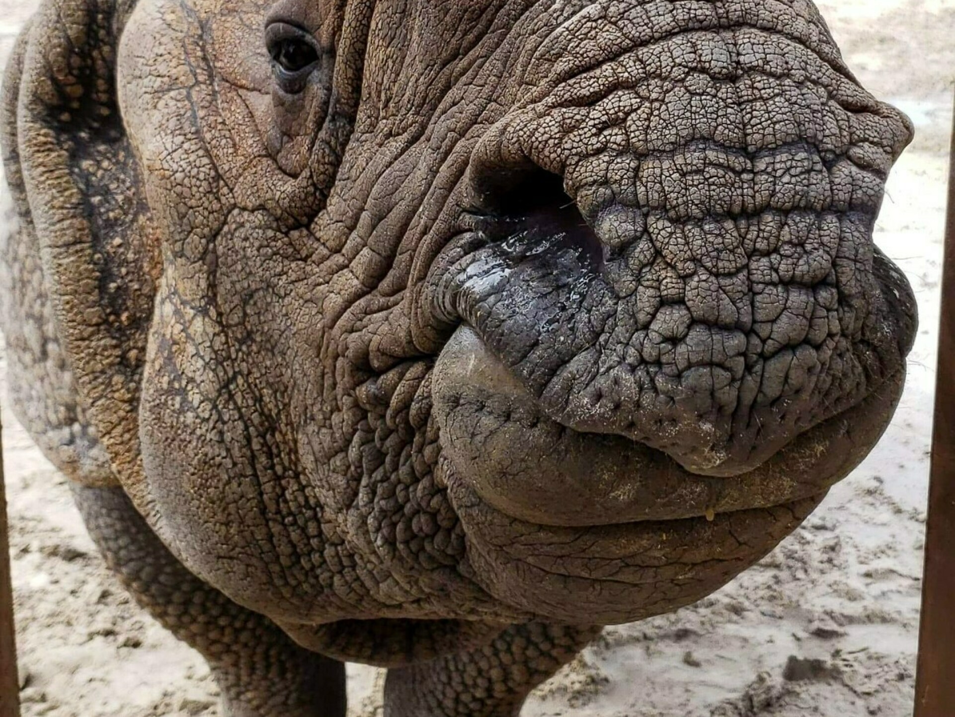 Central Florida Zoo & Botanical Gardens