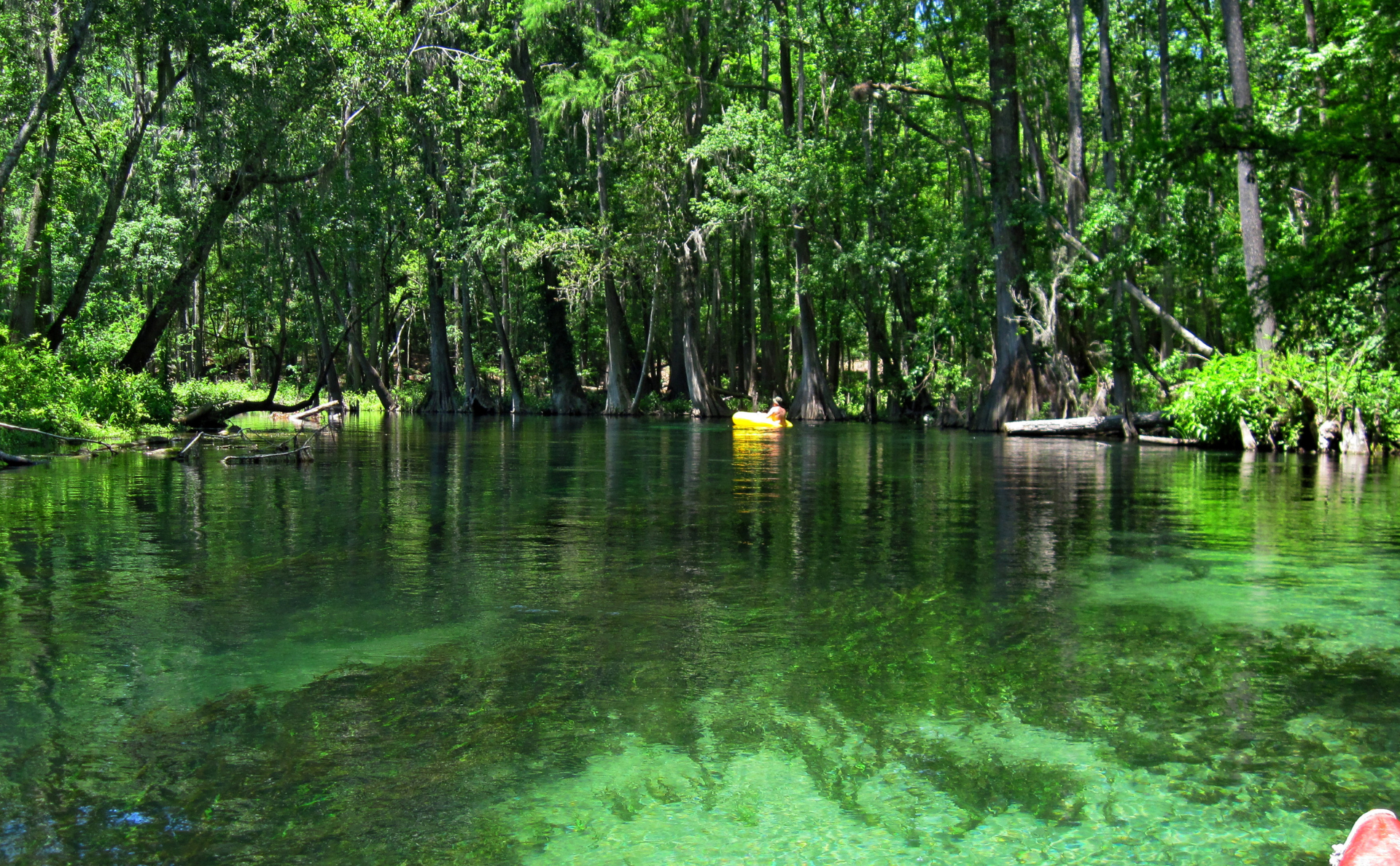 Ichetucknee Springs State Park