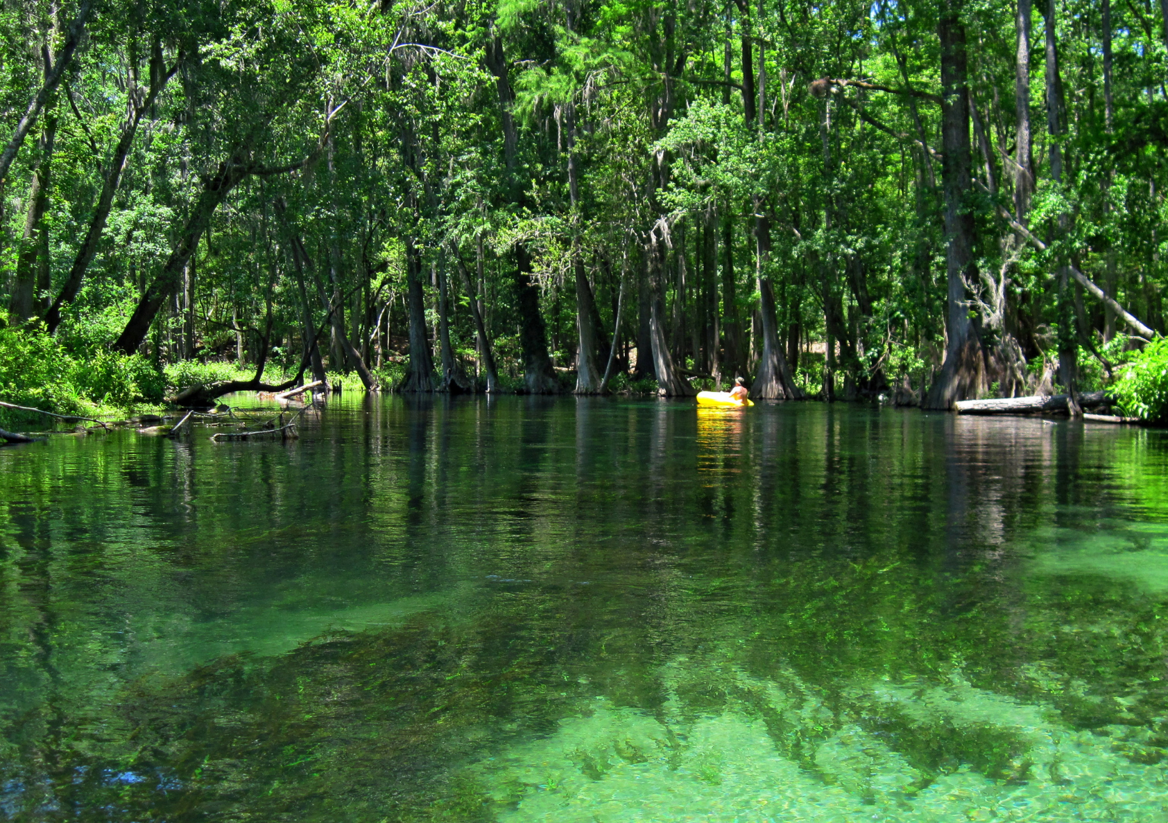 Ichetucknee Springs State Park