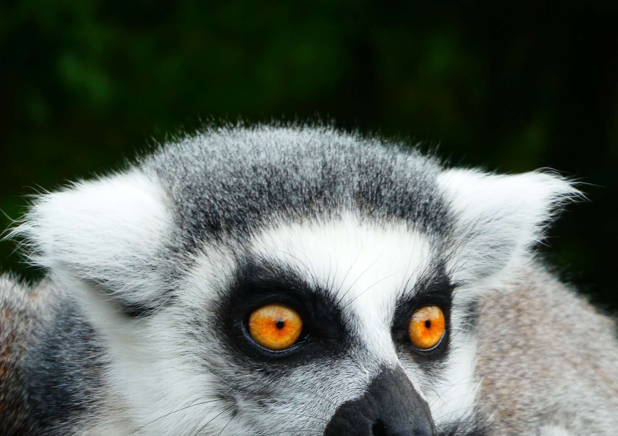 Central Florida Zoo & Botanical Gardens