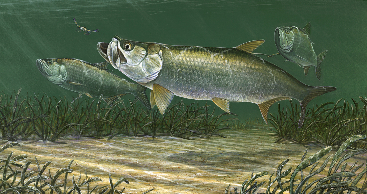 Steve Whitlock Game Fish Art