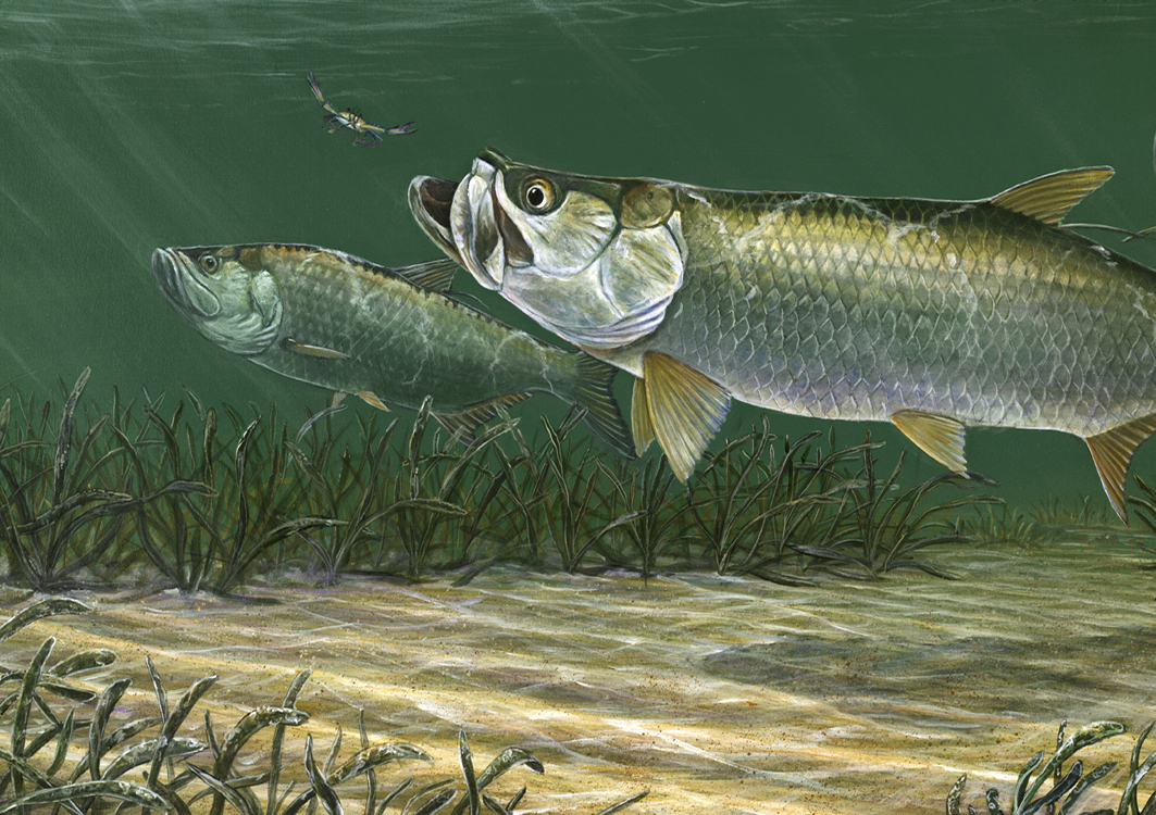 Steve Whitlock Game Fish Art