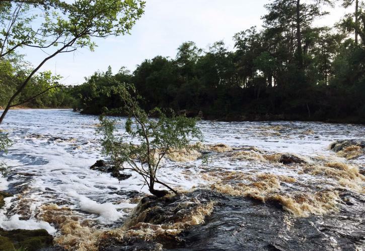 Big Shoals State Park