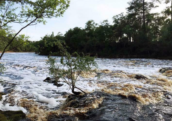 Big Shoals State Park