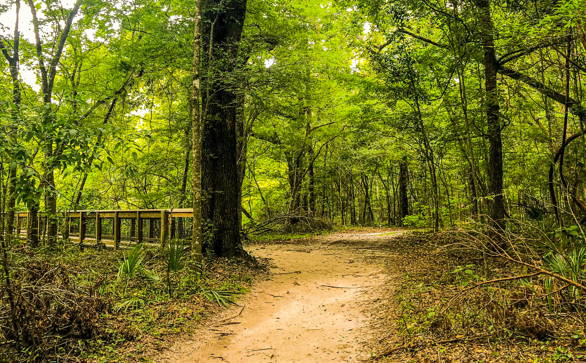 Ichetucknee Springs State Park