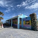 Coconuts on the Beach